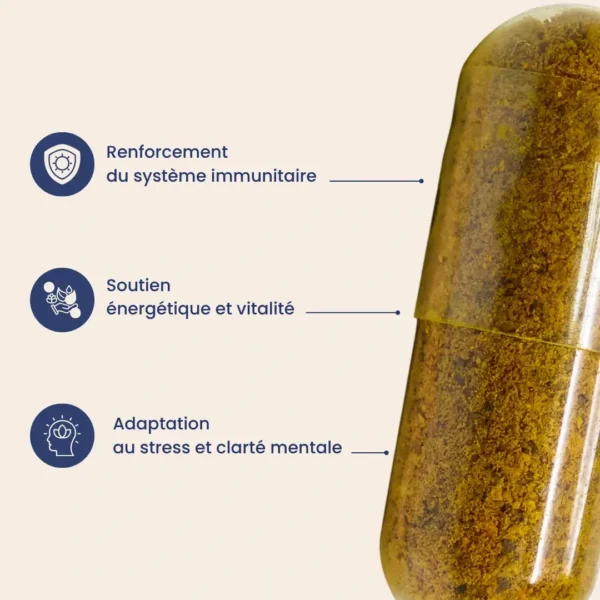 Les trois bénéfices du complément alimentaire, Immu'Boost