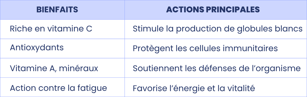 Renforcer le système immunitaire avec l'acérola