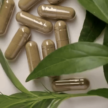 Protection des actifs naturels