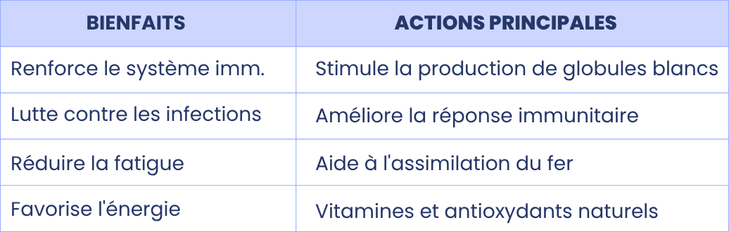 L'acérola pour réduire la fatigue et favoriser l'énergie
